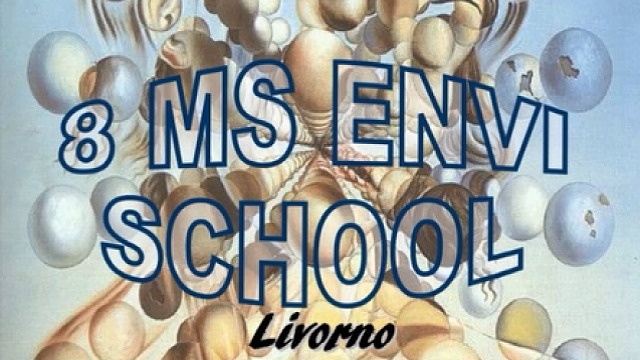 MS Envi Schools